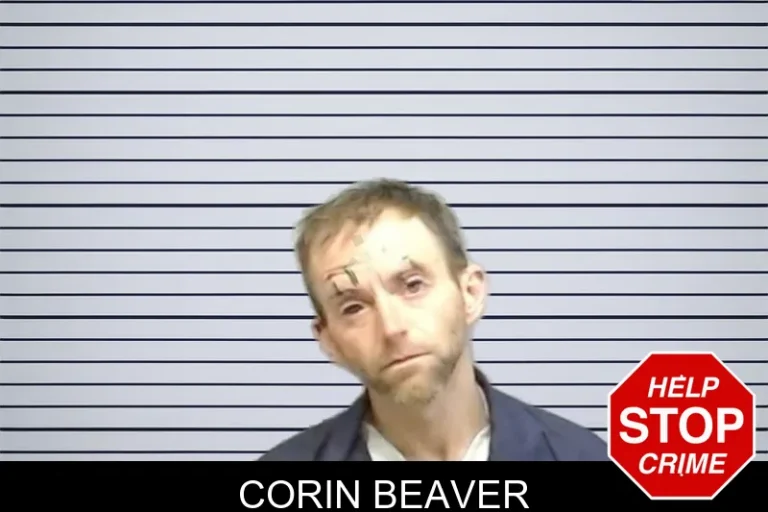 Corin Beaver