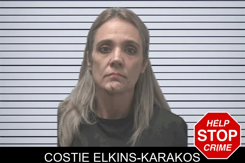 Costie Elkins-Karakos mugshot