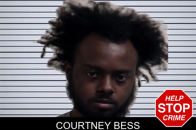 Courtney Bess mugshot