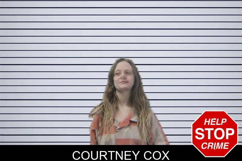 Courtney Cox mugshot