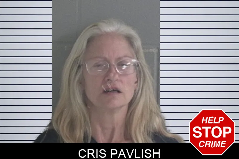 Cris Pavlish mugshot – Brantley County , Georgia Cris Pavlish mugshot