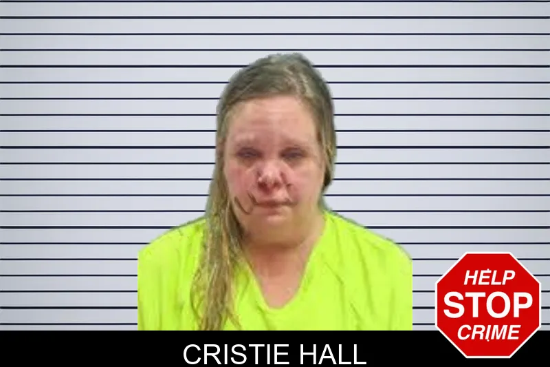 Cristie Hall mugshot