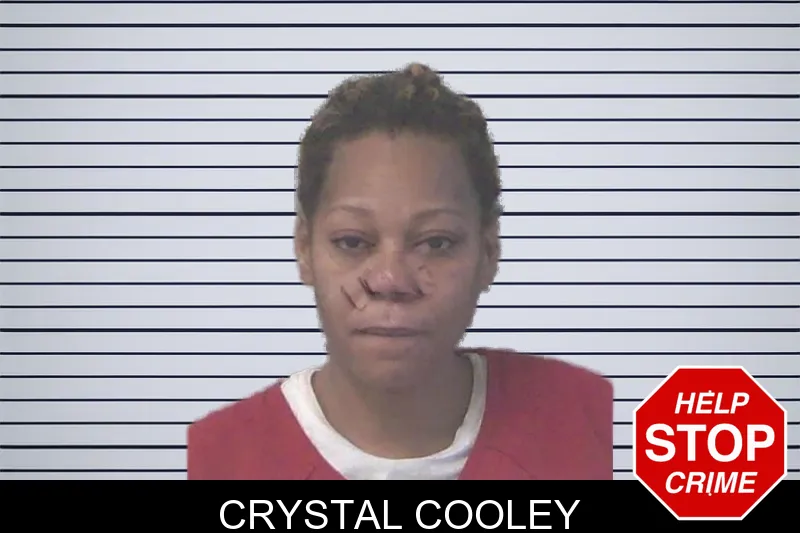 Crystal Cooley mugshot – Newton County , Georgia Crystal Cooley mugshot