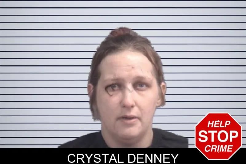 Crystal Denney mugshot – Spalding County , Georgia Crystal Denney mugshot
