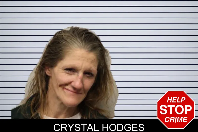 Crystal Hodges mugshot – Chatham County , Georgia Crystal Hodges mugshot