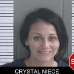 Crystal Niece mugshot – Brantley County , Georgia Crystal Niece mugshot