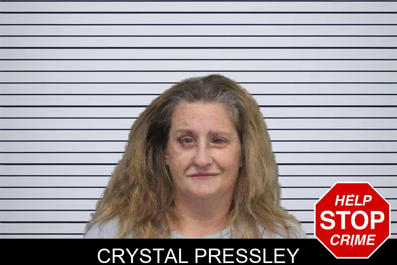 Crystal Pressley mugshot – White County , Georgia Crystal Pressley mugshot