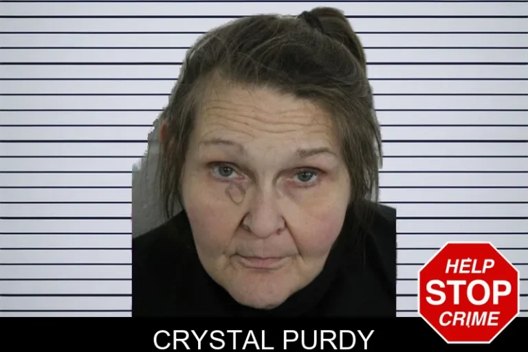 Crystal Purdy mugshot – Floyd County , Georgia Crystal Purdy