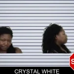 Crystal White mugshot – Camden County , Georgia Crystal White mugshot