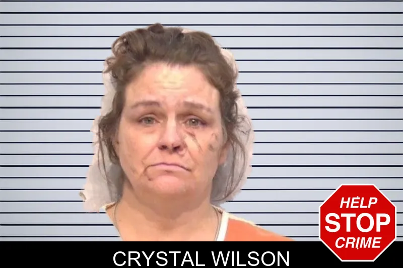 Crystal Wilson mugshot – Bartow County , Georgia Crystal Wilson mugshot