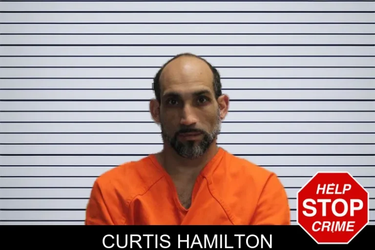 Curtis Hamilton
