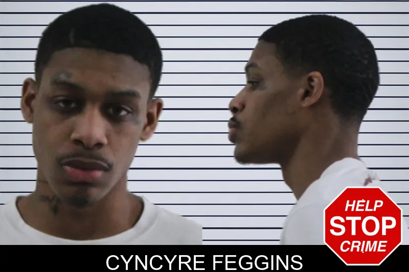 Cyncyre Feggins mugshot – Houston County , Georgia Cyncyre Feggins mugshot