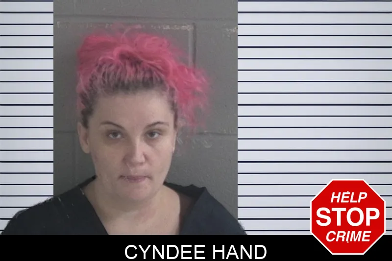Cyndee Hand mugshot – Brantley County , Georgia Cyndee Hand mugshot