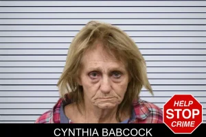 Cynthia Babcock mugshot