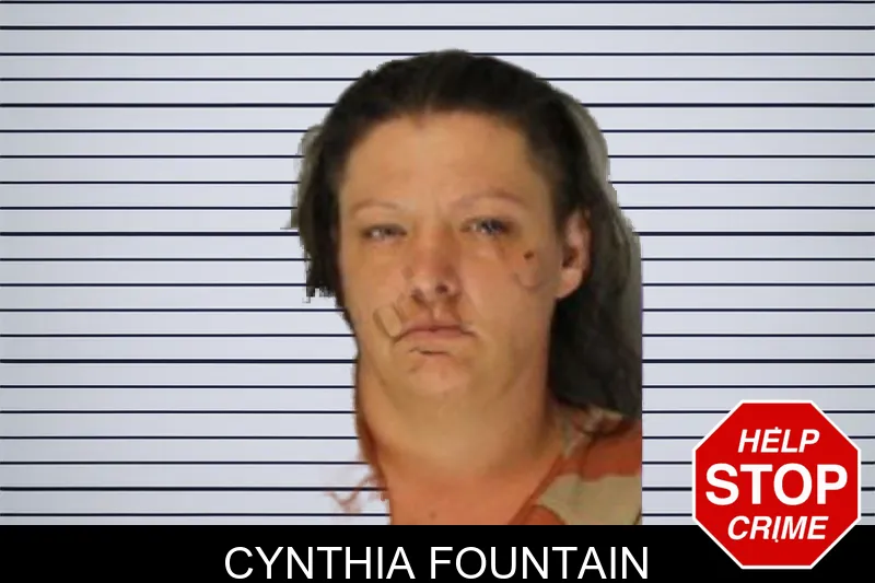 Cynthia Fountain mugshot