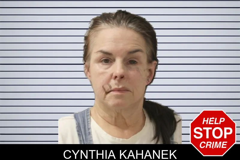 Cynthia Kahanek mugshot – Toombs County , Georgia Cynthia Kahanek mugshot