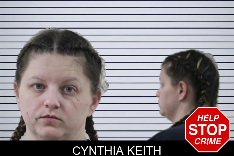Cynthia Keith mugshot – Houston County , Georgia Cynthia Keith mugshot