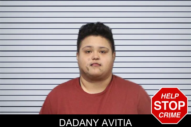 Dadany Avitia mugshot
