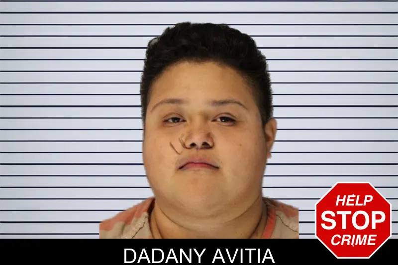 Dadany Avitia mugshot
