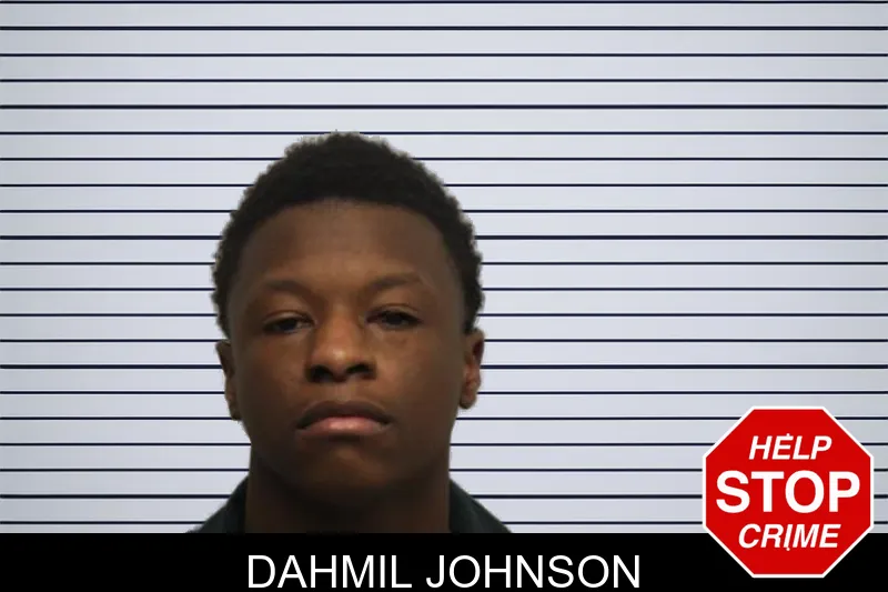Dahmil Johnson mugshot – Chatham County , Georgia Dahmil Johnson mugshot