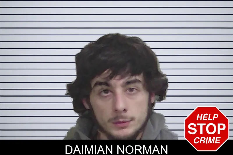 Daimian Norman mugshot