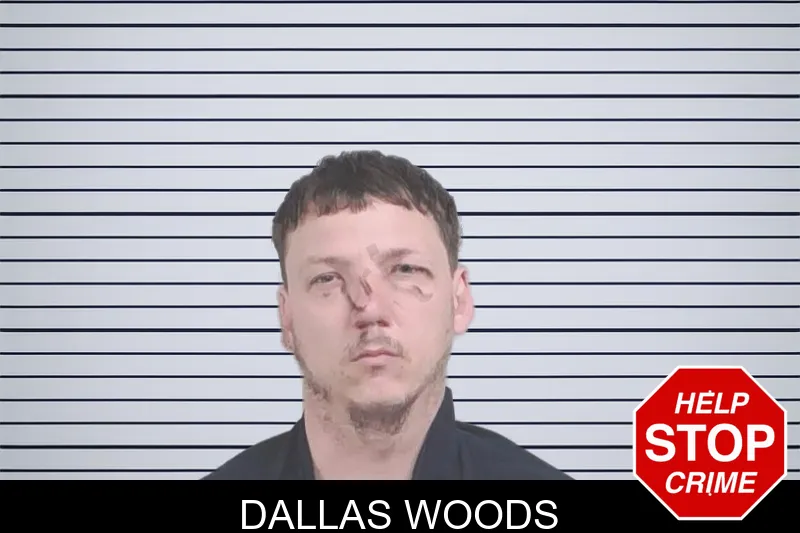 Dallas Woods mugshot