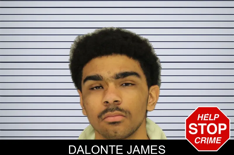 Dalonte James mugshot – Cobb County , Georgia Dalonte James mugshot