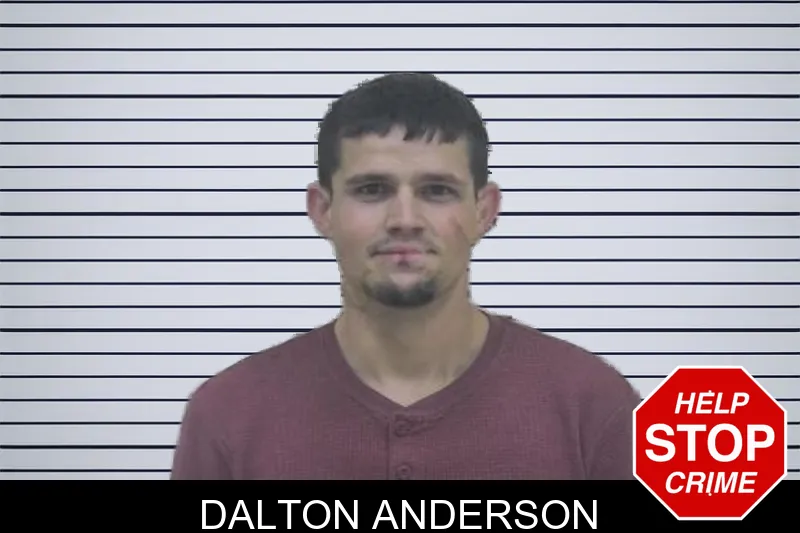 Dalton Anderson mugshot