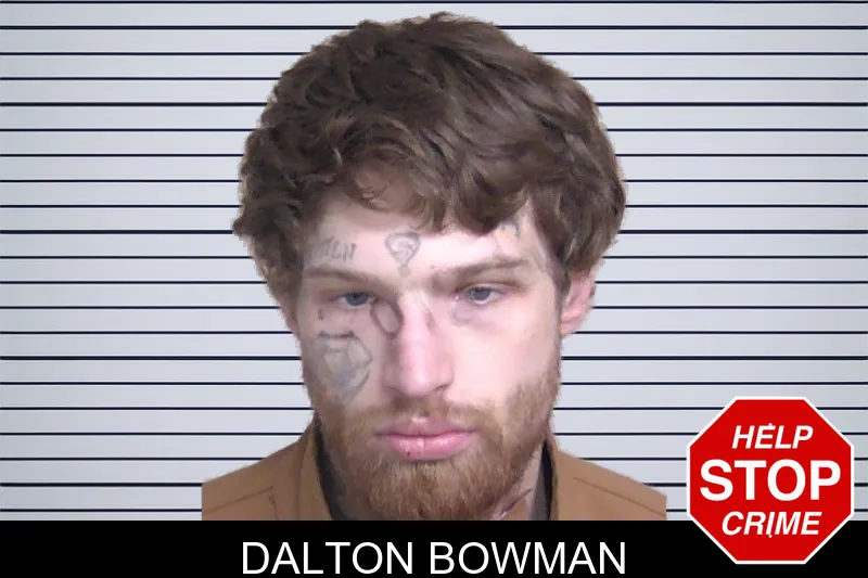 Dalton Bowman mugshot