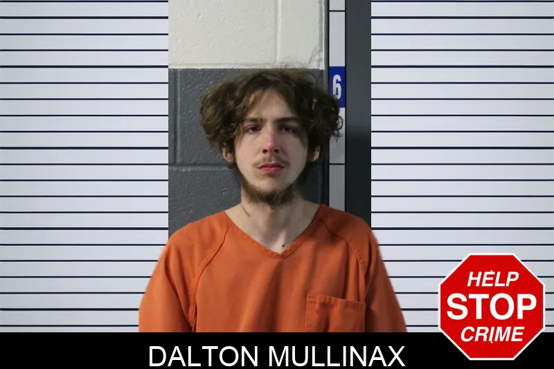 Dalton Mullinax mugshot – Lumpkin County , Georgia Dalton Mullinax mugshot