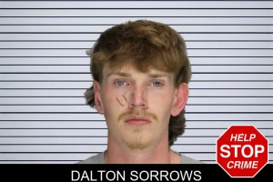 Dalton Sorrows mugshot
