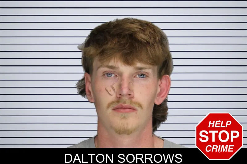 Dalton Sorrows mugshot