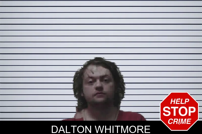 Dalton Whitmore mugshot