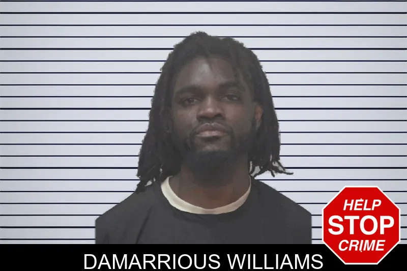 Damarrious Williams mugshot