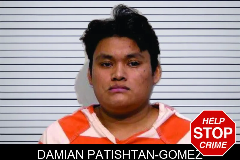 Damian Patishtan-Gomez mugshot – Bartow County , Georgia Damian Patishtan-Gomez mugshot