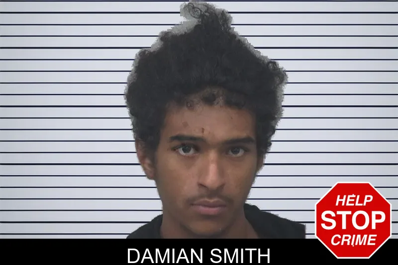 Damian Smith mugshot