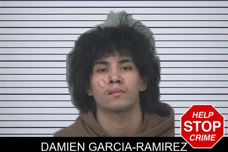 Damien Garcia-Ramirez mugshot – Gwinnett County , Georgia Damien Garcia-Ramirez