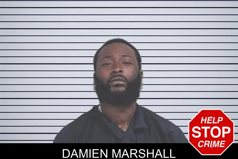 Damien Marshall mugshot