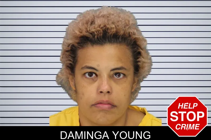Daminga Young mugshot