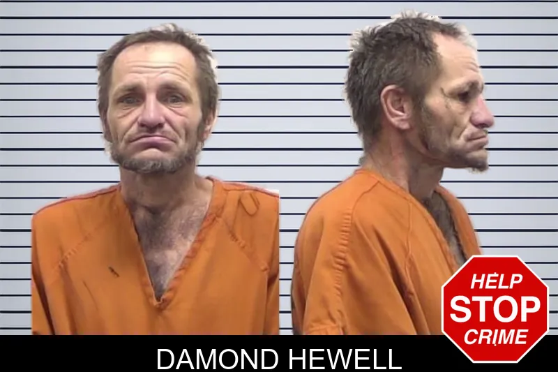 Damond Hewell mugshot