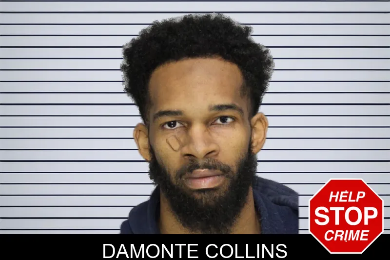 Damonte Collins mugshot