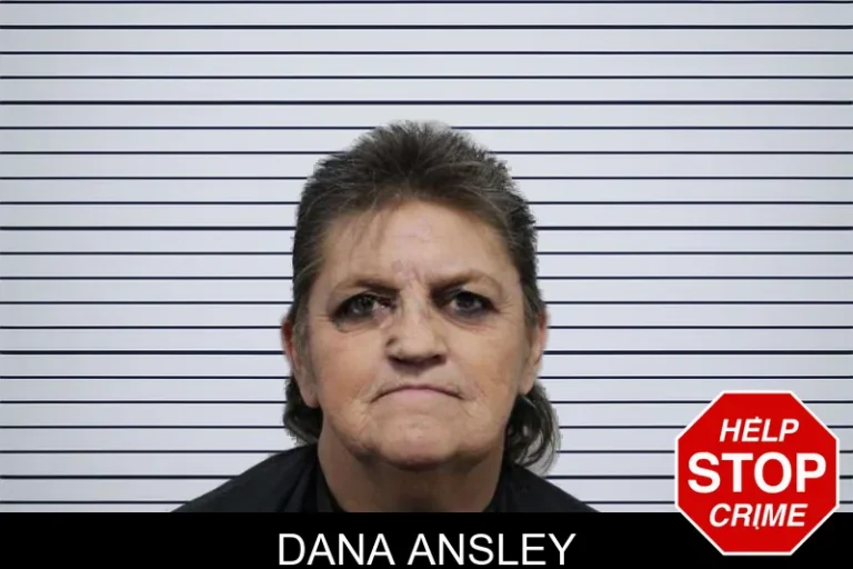 Dana Ansley