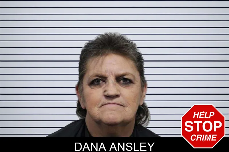 Dana Ansley mugshot – Habersham County , Georgia Dana Ansley mugshot