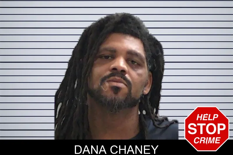 Dana Chaney mugshot