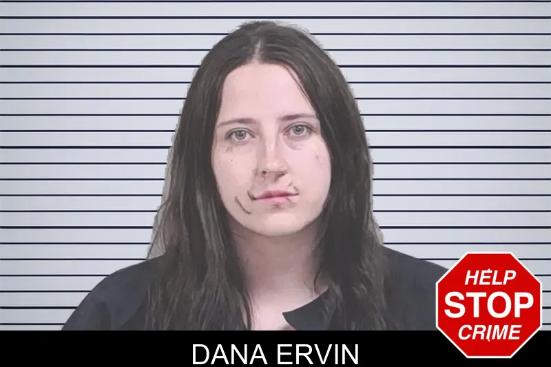 Dana Ervin mugshot – Lowndes County , Georgia Dana Ervin mugshot