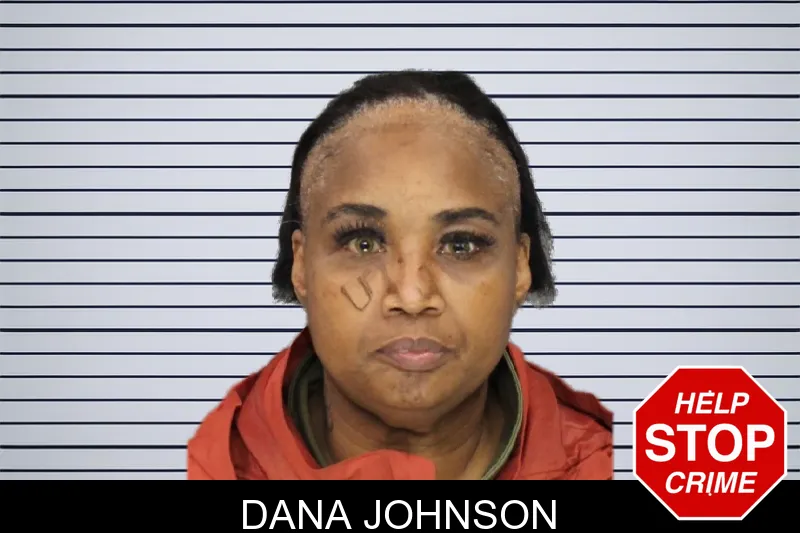Dana Johnson mugshot