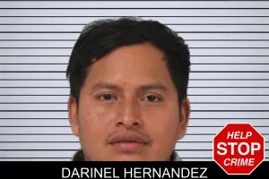 Darinel Hernandez mugshot