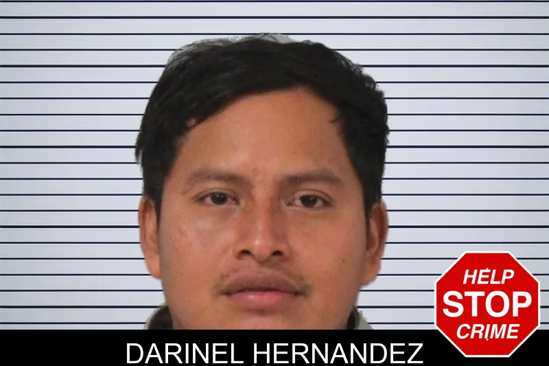 Darinel Hernandez mugshot