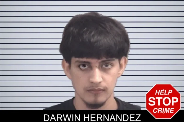 Darwin Hernandez