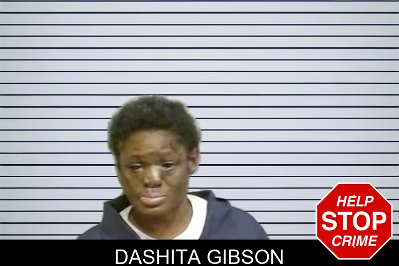 Dashita Gibson mugshot – Fulton County , Georgia Dashita Gibson mugshot